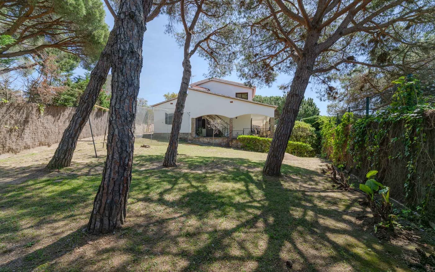 Jardín de pinos con la masía asomando entre los troncos